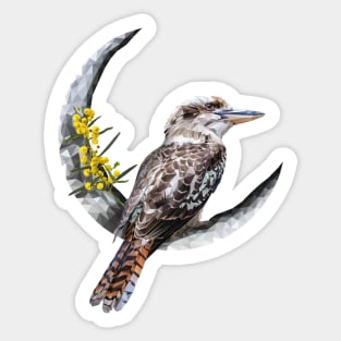 Kookaburra Sticker